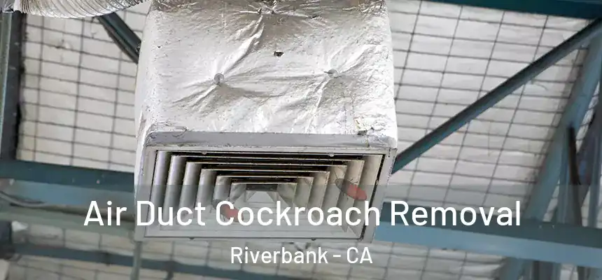  Air Duct Cockroach Removal Riverbank - CA