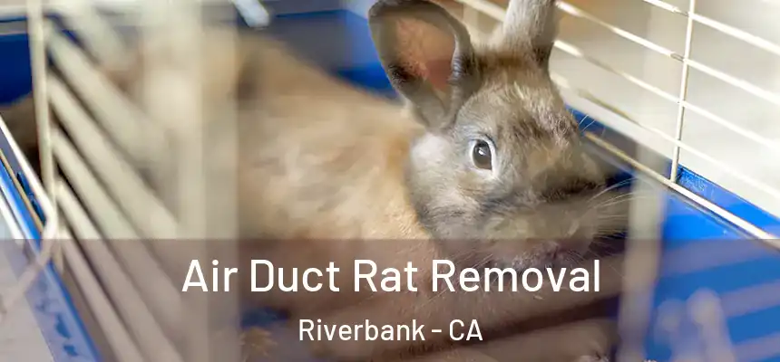  Air Duct Rat Removal Riverbank - CA