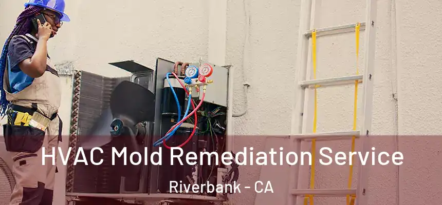  HVAC Mold Remediation Service Riverbank - CA