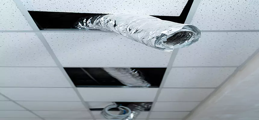 Our Air Duct Pet Hair Removal Services in Riverbank, CA