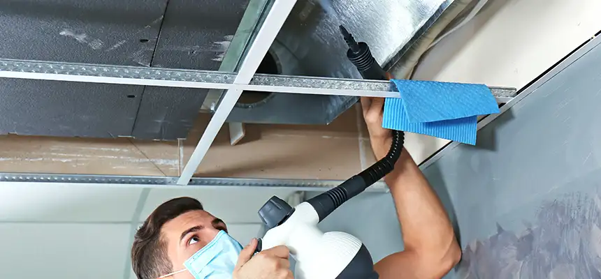 Our Air Duct Rodent Removal Services in Riverbank, CA