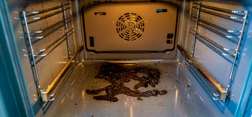 Our Dryer Vent Mold Cleaning Services in Riverbank, CA