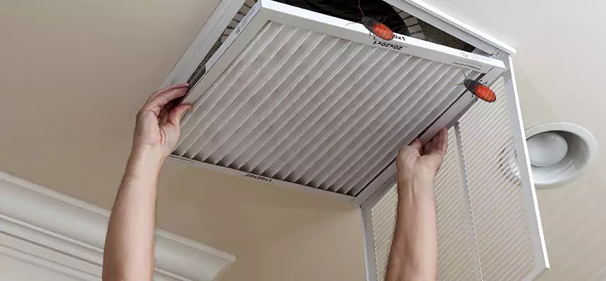 Our Insect Removal from Air Ducts Services in Riverbank, CA