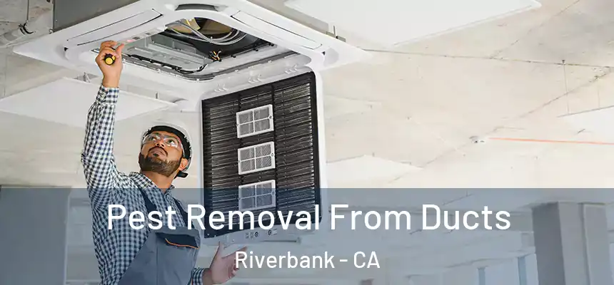  Pest Removal From Ducts Riverbank - CA