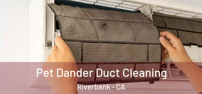 Pet Dander Duct Cleaning Riverbank - CA