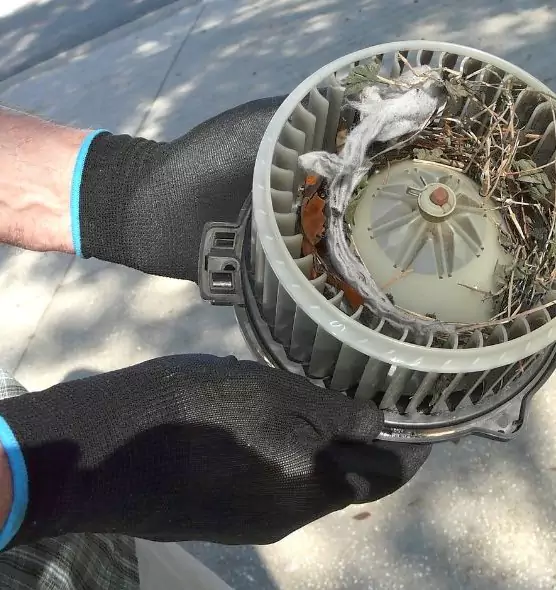 About Air Duct Mice Removal in Riverbank, CA