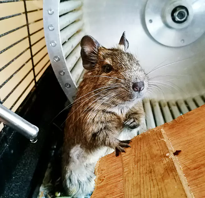 Why Homeowners & Businesses Trust Us Riverbank, CA