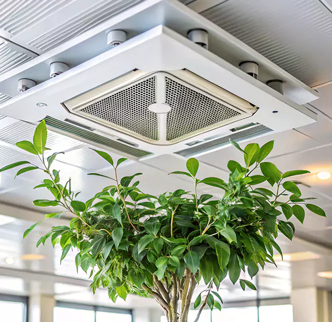 Why Homeowners & Businesses Trust Us in Riverbank, CA?